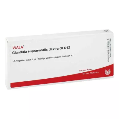 GLANDULA SUPRARENALES dextra GL D 12 Ampullen, 10X1 ml GLANDULA SUPRARENALES dextra GL D 12 Ampullen, 10X1 ml
