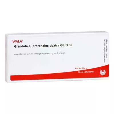 GLANDULA SUPRARENALES dextra GL D 30 Ampullen, 10X1 ml