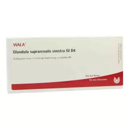 GLANDULA SUPRARENALIS sinistra GL D 4 Ampullen, 10X1 ml