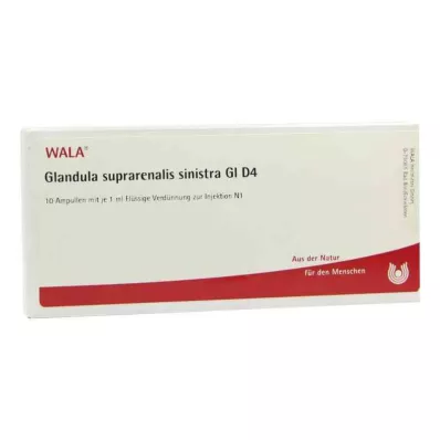 GLANDULA SUPRARENALIS sinistra GL D 4 Ampullen, 10X1 ml