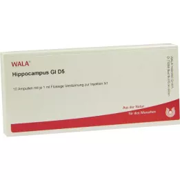 HIPPOCAMPUS GL D 5 Ampullen, 10X1 ml