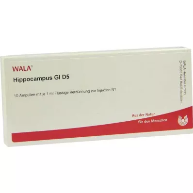HIPPOCAMPUS GL D 5 Ampullen, 10X1 ml