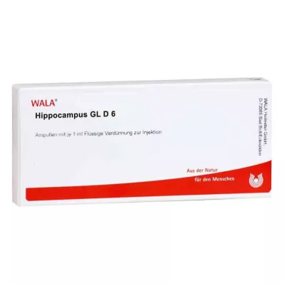 HIPPOCAMPUS GL D 6 Ampullen, 10X1 ml