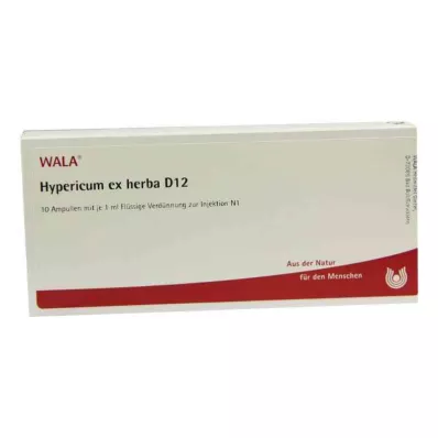 HYPERICUM EX Herba D 12 Ampullen, 10X1 ml HYPERICUM EX Herba D 12 Ampullen, 10X1 ml
