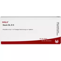 ILEUM GL D 5 Ampullen, 10X1 ml