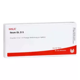ILEUM GL D 5 Ampullen, 10X1 ml