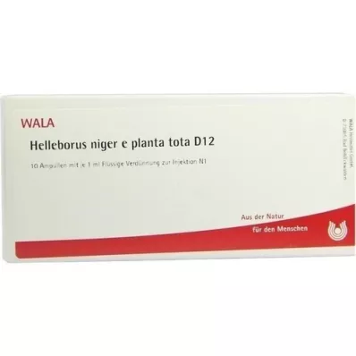 HELLEBORUS NIGER e planta tota D 12 Ampullen, 10X1 ml