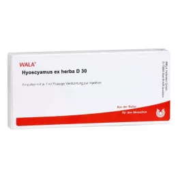 HYOSCYAMUS EX Herba D 30 Ampullen, 10X1 ml