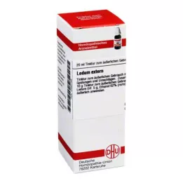 LEDUM EXTERN Tinktur, 20 ml