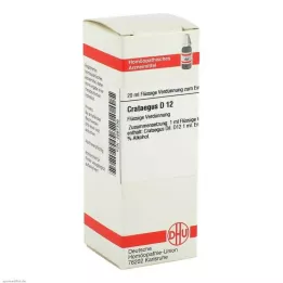 CRATAEGUS D 12 Dilution, 20 ml