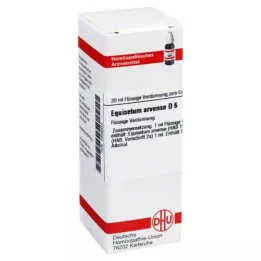 EQUISETUM ARVENSE D 6 Dilution, 20 ml