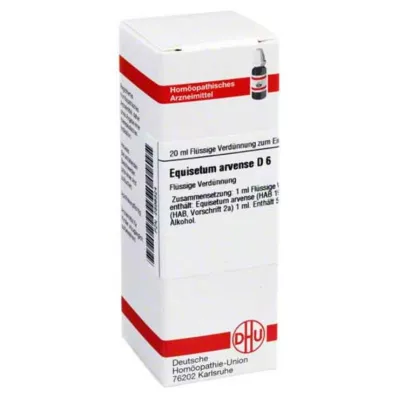 EQUISETUM ARVENSE D 6 Dilution, 20 ml