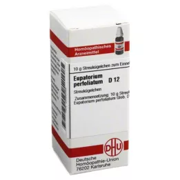 EUPATORIUM PERFOLIATUM D 12 Globuli, 10 g