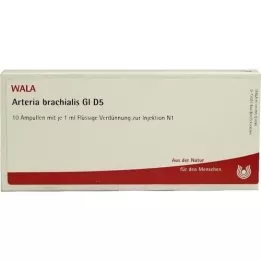 ARTERIA BRACHIALIS GL D 5 Ampullen, 10X1 ml