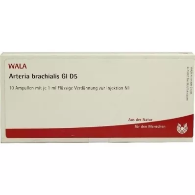 ARTERIA BRACHIALIS GL D 5 Ampullen, 10X1 ml