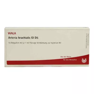 ARTERIA BRACHIALIS GL D 5 Ampullen, 10X1 ml