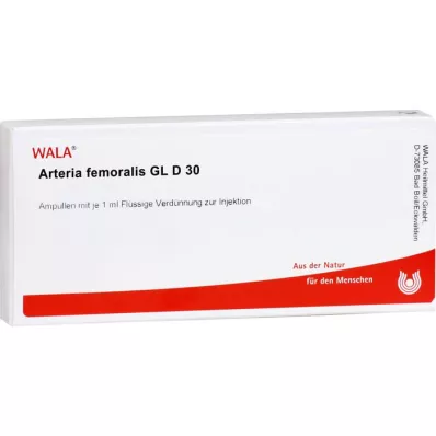 ARTERIA FEMORALIS GL D 30 Ampullen, 10X1 ml