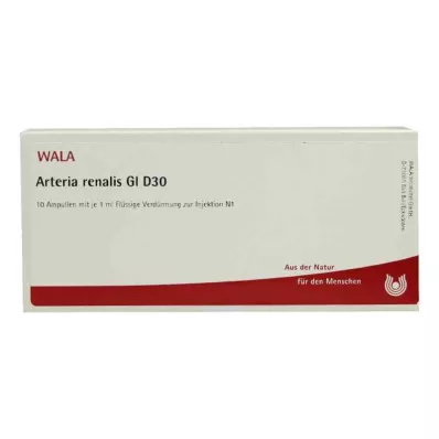 ARTERIA RENALIS GL D 30 Ampullen, 10X1 ml