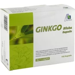 GINKGO 100 mg Kapseln+B1+C+E, 192 St