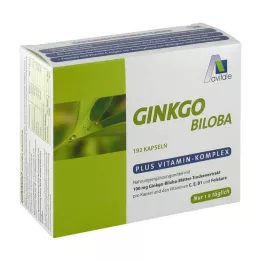 GINKGO 100 mg Kapseln+B1+C+E, 192 St