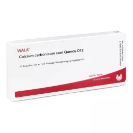 CALCIUM CARBONICUM CUM quercus D 12 Ampullen, 10X1 ml