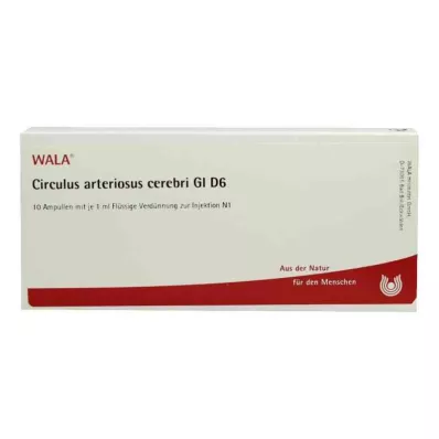 CIRCULUS arteriosus cerebri GL D 6 Ampullen, 10X1 ml CIRCULUS arteriosus cerebri GL D 6 Ampullen, 10X1 ml
