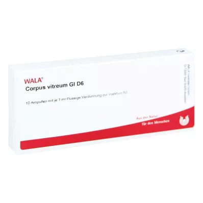 CORPUS VITREUM GL D 6 Ampullen, 10X1 ml