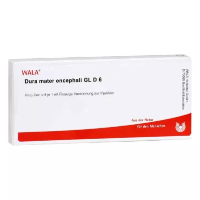 DURA MATER encephali GL D 6 Ampullen, 10X1 ml DURA MATER encephali GL D 6 Ampullen, 10X1 ml