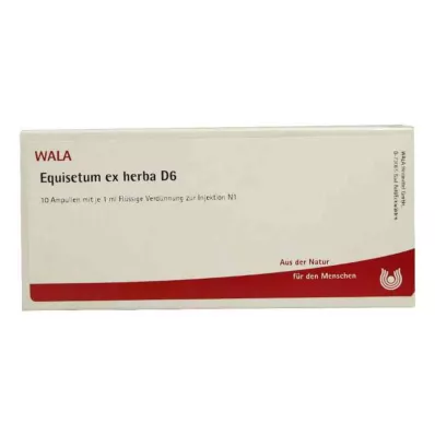 EQUISETUM EX Herba D 6 Ampullen, 10X1 ml