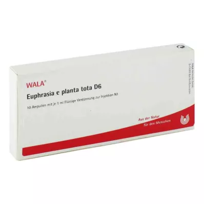 EUPHRASIA E planta tota D 6 Ampullen, 10X1 ml