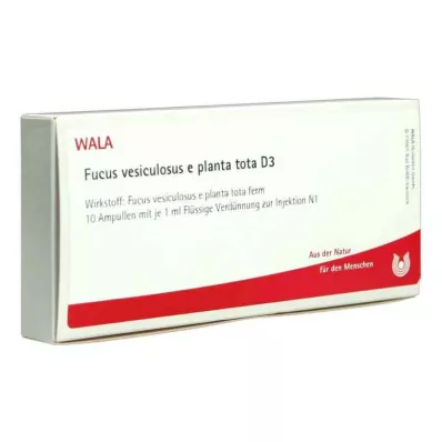 FUCUS VESICULOSUS E planta tota D 3 Ampullen, 10X1 ml FUCUS VESICULOSUS E planta tota D 3 Ampullen, 10X1 ml