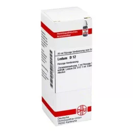 LEDUM D 12 Dilution, 20 ml