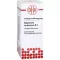 MAGNESIUM CARBONICUM D 6 Dilution, 20 ml