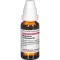 MAGNESIUM CARBONICUM D 6 Dilution, 20 ml