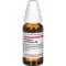 PLUMBUM METALLICUM D 6 Dilution, 20 ml