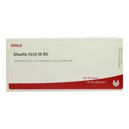 MAXILLA feti GL D 5 Ampullen, 10X1 ml