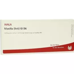 MAXILLA feti GL D 6 Ampullen, 10X1 ml