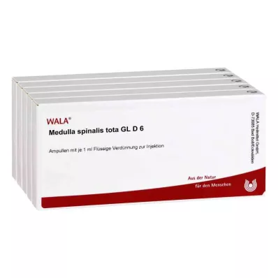 MEDULLA SPINALIS tota GL D 6 Ampullen, 50X1 ml MEDULLA SPINALIS tota GL D 6 Ampullen, 50X1 ml