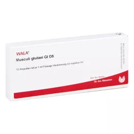 MUSCULI GLUTAEI GL D 5 Ampullen, 10X1 ml