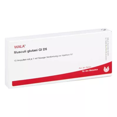 MUSCULI GLUTAEI GL D 5 Ampullen, 10X1 ml