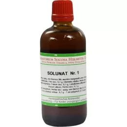 SOLUNAT Nr.1 Tropfen, 100 ml