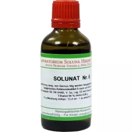 SOLUNAT Nr.6 Tropfen, 50 ml