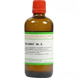 SOLUNAT Nr.6 Tropfen, 100 ml