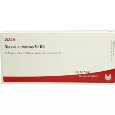NERVUS PHRENICUS GL D 6 Ampullen, 10X1 ml NERVUS PHRENICUS GL D 6 Ampullen, 10X1 ml