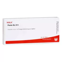 PENIS GL D 5 Ampullen, 10X1 ml