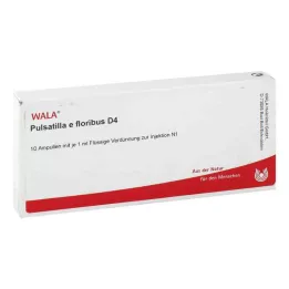 PULSATILLA E floribus D 4 Ampullen, 10X1 ml