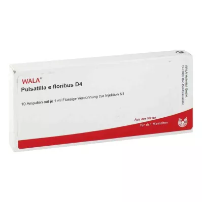 PULSATILLA E floribus D 4 Ampullen, 10X1 ml