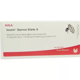 ISCUCIN quercus Stärke A Ampullen, 10X1 ml