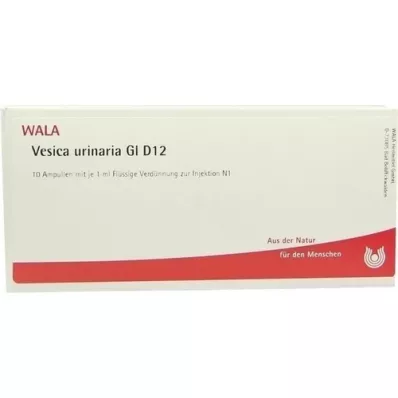 VESICA URINARIA GL D 12 Ampullen, 10X1 ml