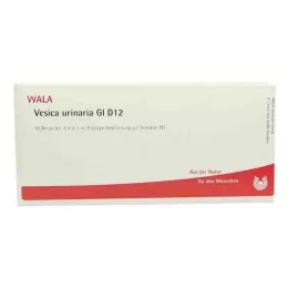 VESICA URINARIA GL D 12 Ampullen, 10X1 ml